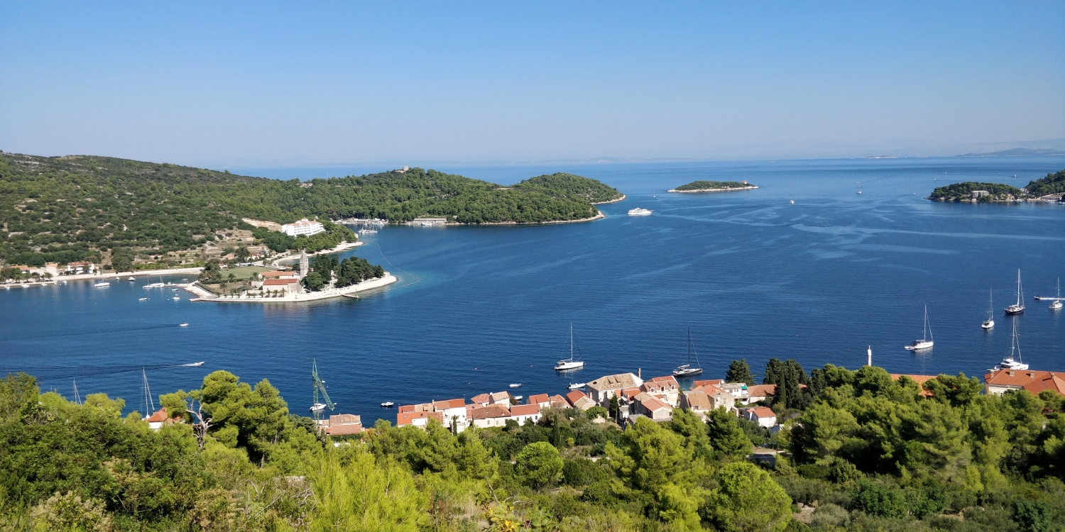 Vis
