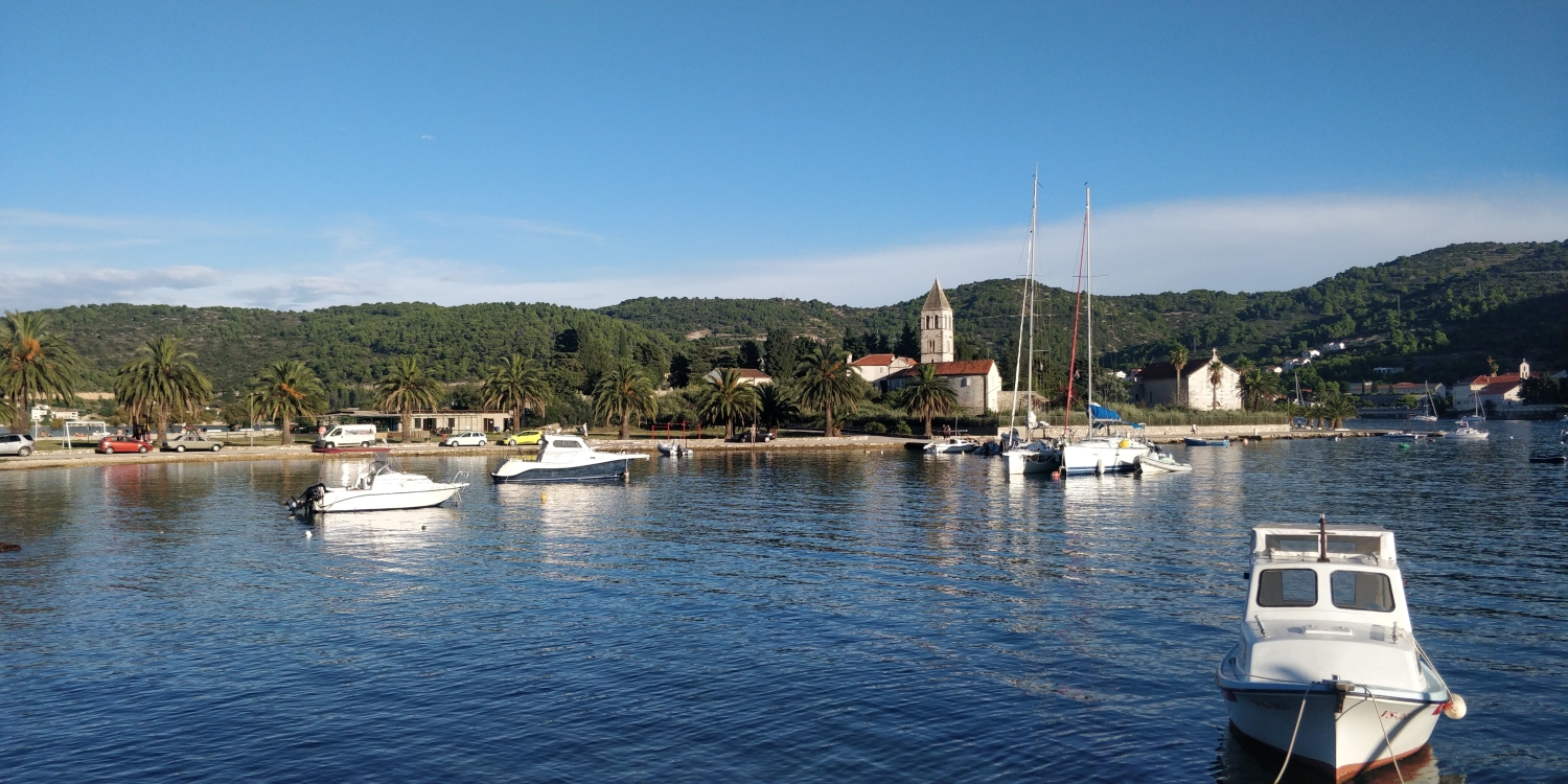 Vis